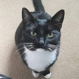 Meet your Posher, Elle